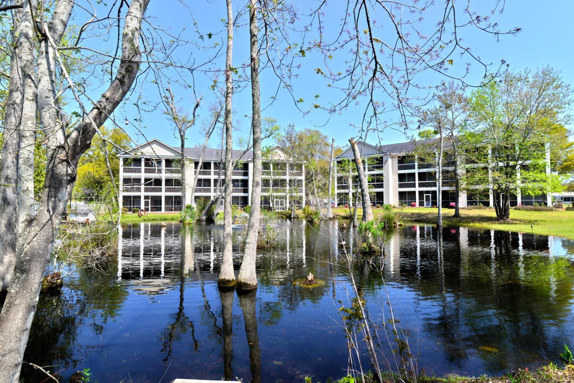 All New Luxury Beach Retreat 1 Mile To Beach W Pool Myrtle Beach Esterno foto